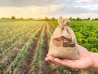 Political Economy of Agricultural and Food Policy