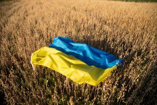 Global Food Security and Nutrition Crisis and Ukraine Impacts